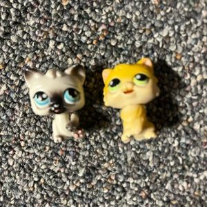 RARE AUTHENTIC 2005 SITTING CAT LPS